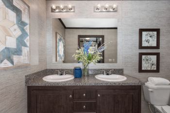 95PLH28523AH_MasterBath_03